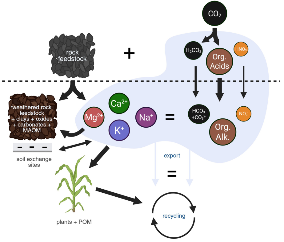 Diagram of chemical transport pathways in soil.